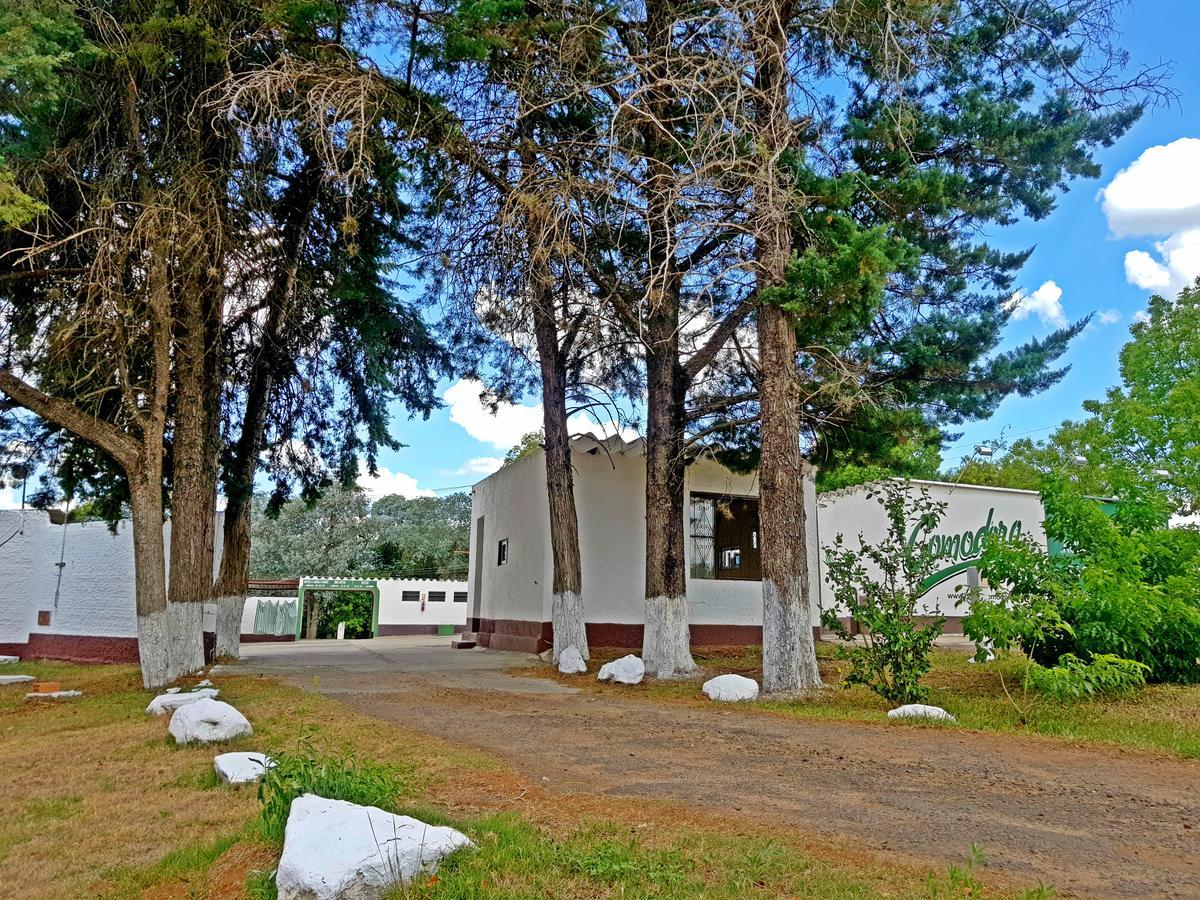 Hotel Comodoro De 3*